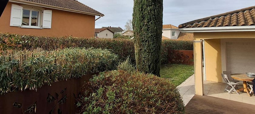 Haie taillée et pelouse tondue devant une maison à Saint-Paul-en-Jarez